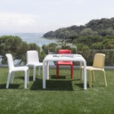 Snow tafel
