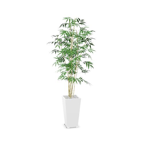 Bac métal KUB'O composition Bambous