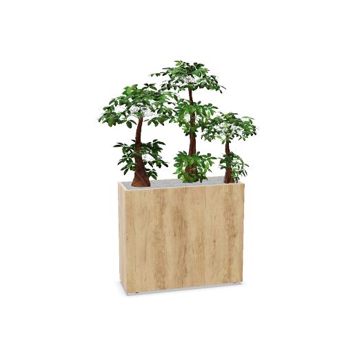 Jardinière BOSCO ht 74 - Bonzai