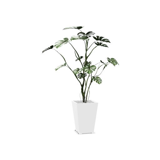 Bac métal KUB'O composition Philodendron