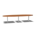 Tmeeting 3, 10 plaatsen 360x120cm