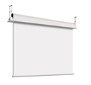 DELUXX Professional Motorised Ceiling Recessed Screen 250 x 140 cm 112" - REAR PROJECTION
