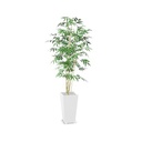 Bac métal KUB'O composition Bambous