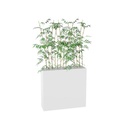 Jardinière 74 Bambous